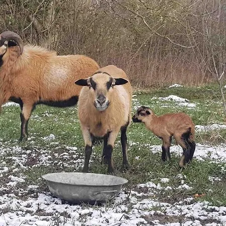 Dans Maison Medievale Calme Fibre 2 Ch Prázdninový dům *